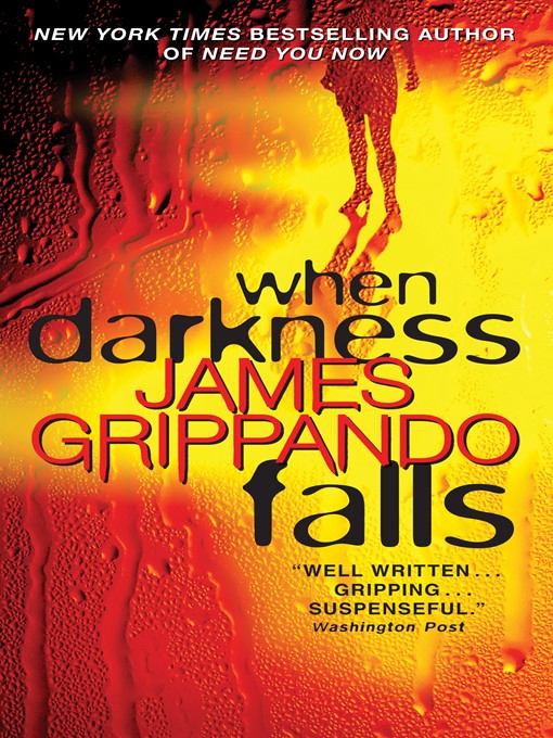 Title details for When Darkness Falls by James Grippando - Wait list